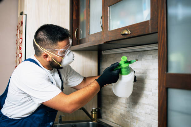 Best Wasp Removal Services  in Allendale, NJ