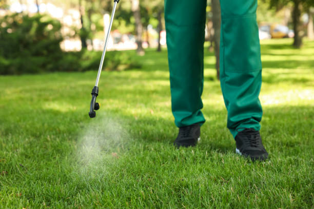 Best Pest Control Treatment  in Allendale, NJ