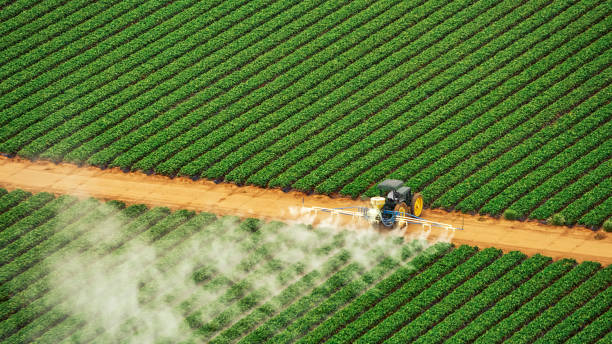 Best Pest Control for Businesses  in Allendale, NJ